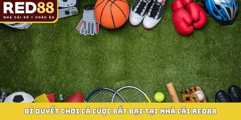 THỂ THAO 4 Bí quyết chơi cá cược bất bại tại nhà cái Red88