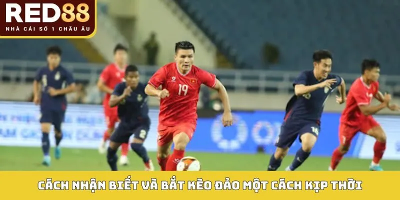 Bắt Kèo Đảo Red88 - Cơ Hội Lợi Nhuận Cao Khi Cá Cược 3 Cách nhận biết và bắt kèo đảo một cách kịp thời