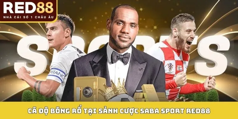SABA SPORT 2 Cá độ bóng rổ tại sảnh cược SABA Sport RED88