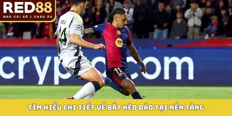 Bắt Kèo Đảo Red88 - Cơ Hội Lợi Nhuận Cao Khi Cá Cược 2 Tìm hiểu chi tiết về bắt kèo đảo tại nền tảng